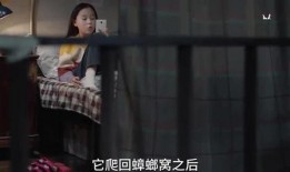 爆料自己秘密的合集视频,独家合集视频大公开